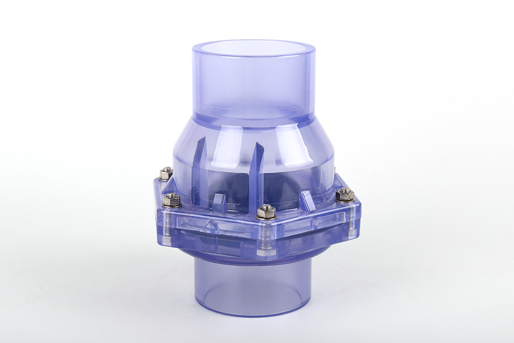 珠海透明翻板式止回阀